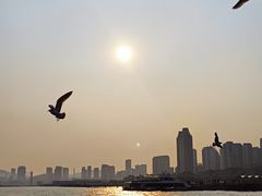 -棒棰岛宾馆景区