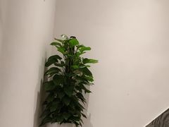 -麦子MaiMassage(打浦桥店)