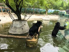 -济南野生动物世界