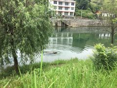 -三清山希尔顿度假酒店