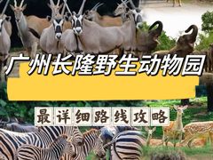 -广州长隆野生动物世界