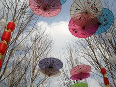 -三圣花乡旅游区