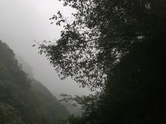 -秦岭风景区