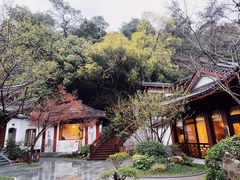 -十八棵（老龙井）御茶园(老龙井店)