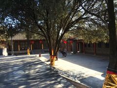 -少林寺景区
