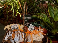 -大龙燚·旷野鲜火锅(广州首店)