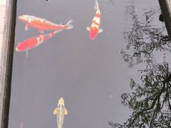 -西安市广仁寺