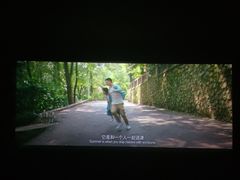 -飞扬影城(正佳IMAX店)