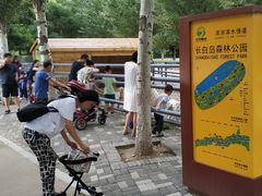 -长白岛森林公园