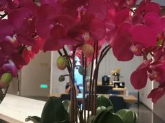 -如家商旅酒店(成都太古里双桥子店)