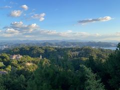 -千岛湖天屿景区