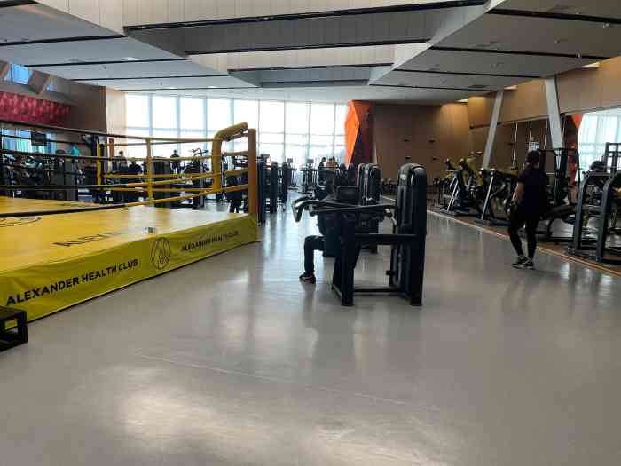 三月徒伤悲,四月的卫衣五月的体恤都等着呢哈哈哈哈,亚历山大健身会所