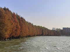 -白鹭园