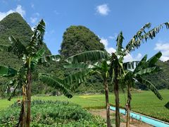 -万峰林风景区