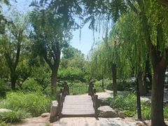 -天津东丽湖风景区