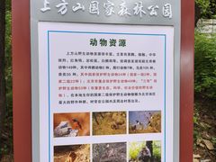 -北京上方山国家森林公园