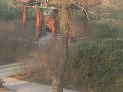 -达活泉公园