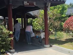 -《神游传奇》秀
