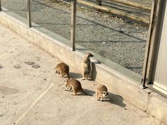 -极速星辰卡丁车赛车场(西山店)