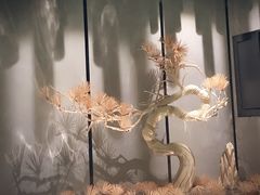-桐爷小馆(广渠门店)