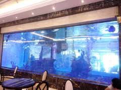 -碧桂园凤凰城酒店(南京店)