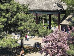 -北陵公园
