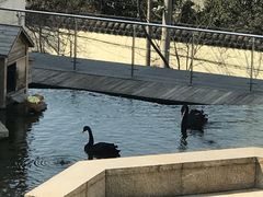 -南京圣和府邸豪华精选酒店