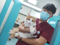 -美联众合爱康动物医院•复杂内科•肿瘤科•牙科•腔镜诊疗中心