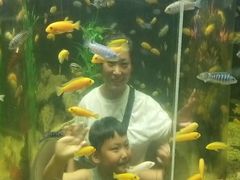-洛阳龙门海洋馆