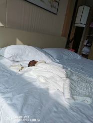 -大美臻喜母婴(重庆创始店)