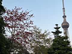 -文华公园(禅城区)
