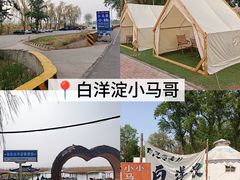 -白洋淀景区