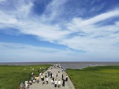 -南汇嘴观海公园