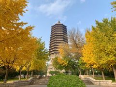 -玲珑塔公园