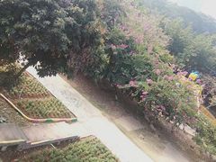 -松山湖梦幻百花洲