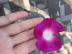 龙达温泉生态城-龙达温泉生态城