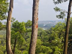 -大屏嶂森林公园