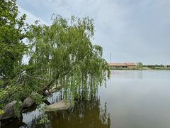 -杭州湾海上花田景区