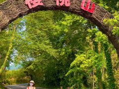 -樱桃山旅游景区