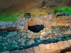 -南越王博物院(王宫展区)