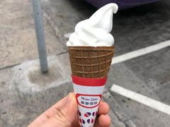 -富豪雪糕车流动点(尖沙咀店)