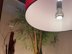 -老阿爸鲜鱼土菜(独墅湖店)