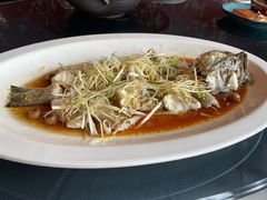 石斑鱼-三号黄浦会Canton Table