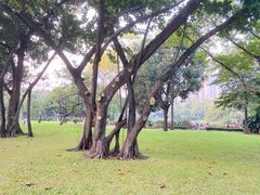 -晓港公园