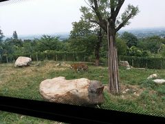 -西安秦岭野生动物园