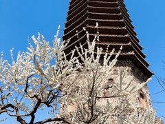 -玲珑塔公园