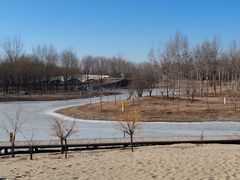 -东郊湿地公园