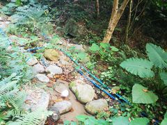 -火炉山森林公园