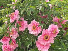 -大钟寺古钟博物馆
