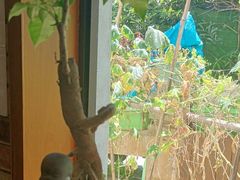 -小丫头餐厅·江浙菜·烧烤(灵隐店)